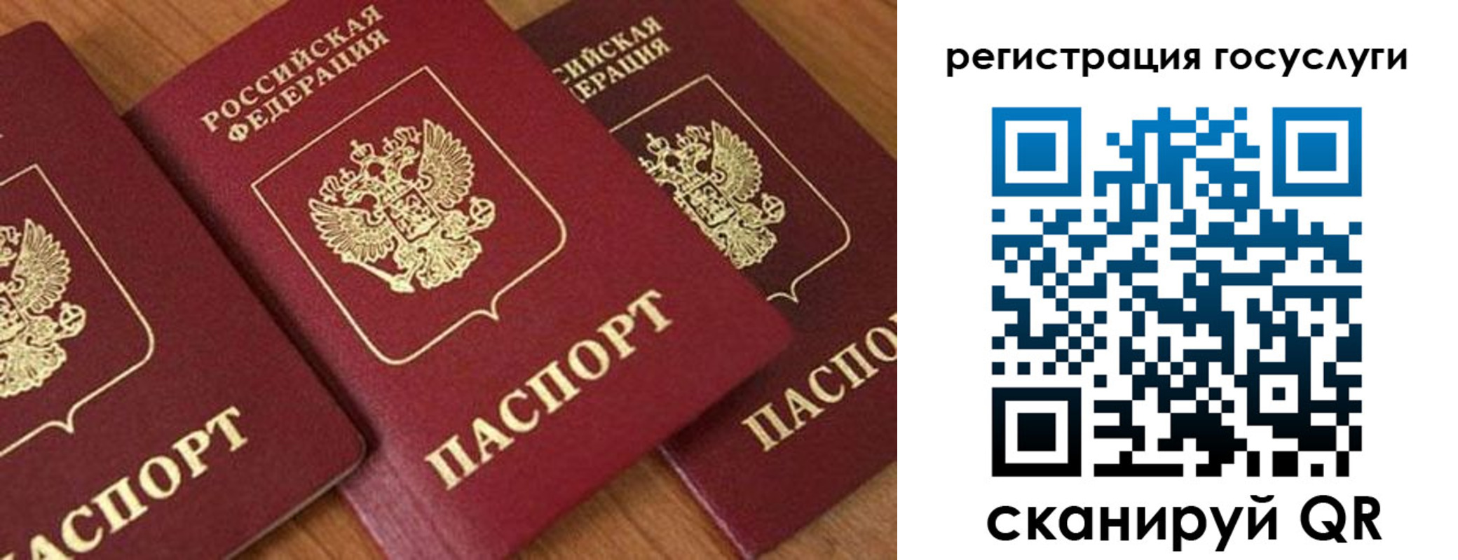 временная регистрация гарантия в Мурманской области